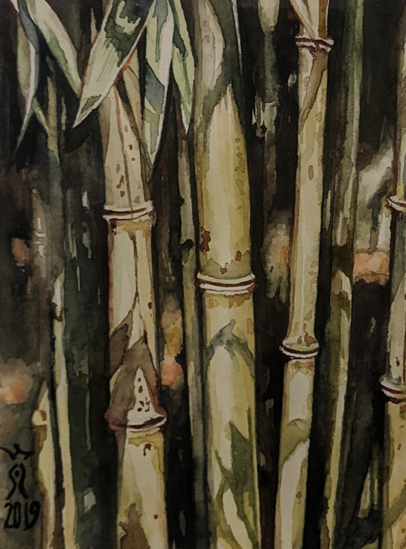 Bamboo by Sylke Van Niekerk