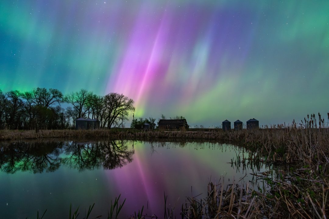 Colorful Reflections