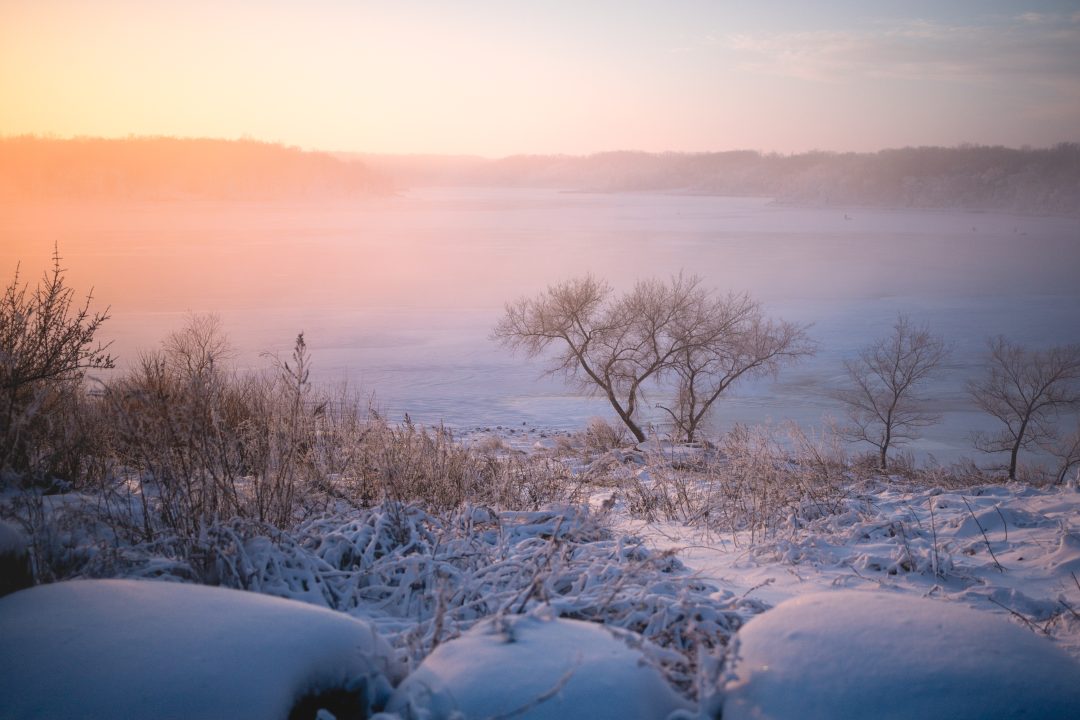 Foggy Winter’s Eve
